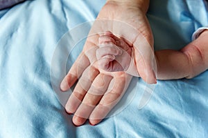 Little baby holding mother`s hand