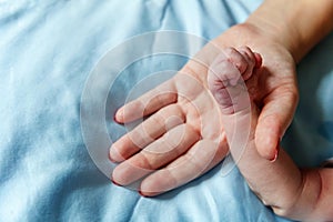 Little baby holding mother`s hand