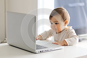 Little baby is looking attentively at the screen of laptop in front of him, working with computer.