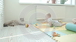 A little baby playing with his toys and crawling closer to the cat