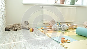 A little baby playing with his toys and crawling closer to the cat