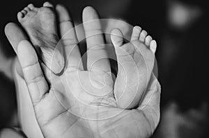 Little baby`s feet in daddy`s strong hand