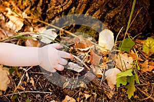 Little baby's hand