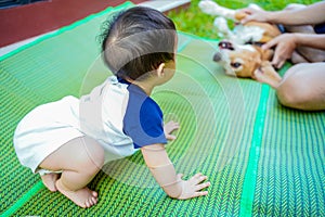 Little baby try to crawl on green mat  and dog soft blurred background ,toddler playing with beagle dog in her backyard.
