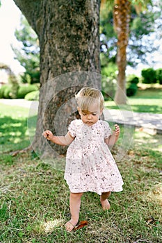 Little barefoot girl with a leaf in her hand walks past a tree on green grass