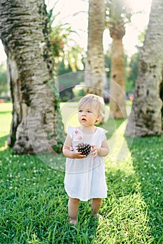 Little barefoot girl stands on a green lawn under palm trees with a big spruce cone in her hands