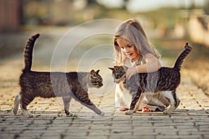 A little barefooted girl in a gray linen dress is stroking a cat. Sunny summer evening in the village. Countryside