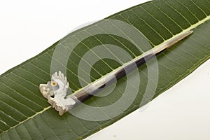 Little barette on green palm leaf isolated