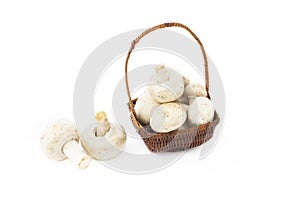Little basket with mushrooms