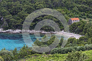 Little beach and Wineyard near Orebic in Croatia.