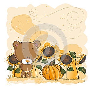 Little bear and pumpkin - Halloween or thanksgivin