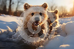 Little bears running through the water in the snow on a sunny day