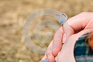 Little beautiful butterfly sits on a hand of the girl