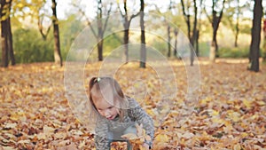 Little beautiful girl collects fallen leaves in the autumn park. Walk among the trees. Slow motion.