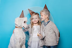 Little beautiful girl and handsome boy with dog celebrate birthday. Friendship. Family. Studio portrait over blue background