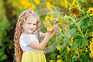 A little beautiful girl holds a sunflower in a field in summer