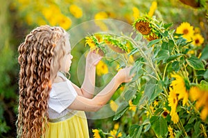 A little beautiful girl holds a sunflower in a field in summer