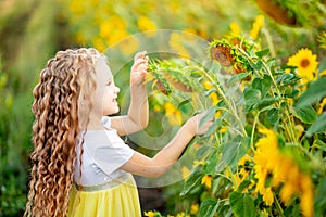 A little beautiful girl holds a sunflower in a field in summer
