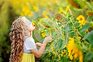 A little beautiful girl holds a sunflower in a field in summer