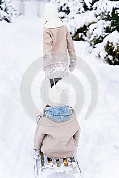 Little beautiful stylish girl sledding her sister. Winter hat, woolen coat, blue scarf, snood. Kids walking, playing in forest,