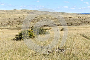 Little Bighorn Battlefield National Monument