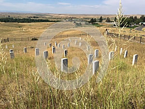 Little Bighorn Montana photo