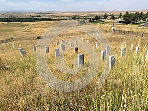 Little Bighorn Montana photo