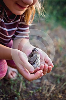 The little bird that fell from the nest in the hands of a child