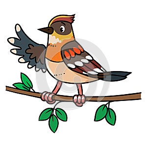 Little bird. Funny kids vector illustration series