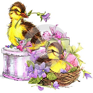 Little bird, gift and flowers background