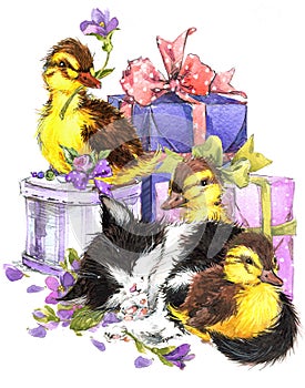 Little bird, kitten, gift and flowers background