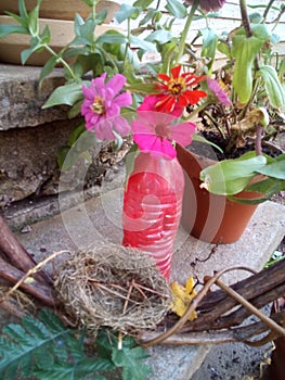 Little bird nest for grannys gardin to yours