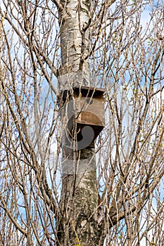 Little bird nest house