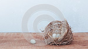 Little bird`s egg in birds nest isolated on a wooden floor