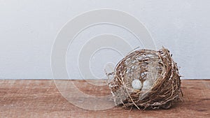 Little bird`s egg in birds nest isolated on a wooden floor