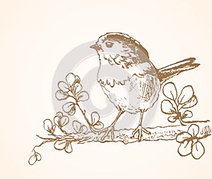 Little bird sitting on twig hand drawn vector illustration