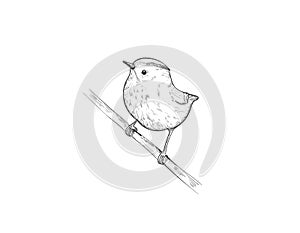 Little bird in sketch style, vector hand drawn illustration.