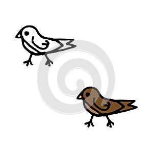 Little bird vector illustration in color and outline sketch style