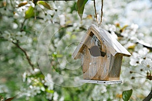 Little Birdhouse in Spring with blossom cherry flower sakura