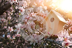 Little birdhouse in spring over blossom cherry tree.