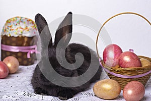 Little black bunny rabbit in the Easter composition with eggs and Easter cakes, the concept of a spring church holiday, horizontal