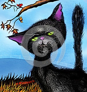 Little black snarling cat photo