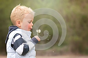 Little blond baby boy blow the blowball, mother`s day concept