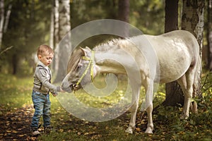 Little blond boy feeding little horse pony carrot