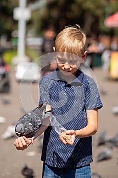 A little blond boy feeds pigeons in the park.