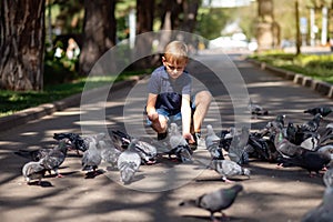 A little blond boy feeds pigeons in the park.