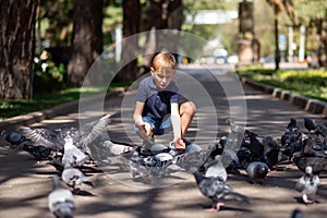 A little blond boy feeds pigeons in the park.