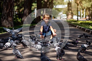 A little blond boy feeds pigeons in the park. Selective focus