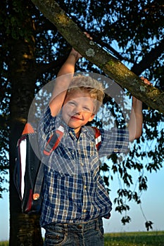 Little blond boy is hanging on the tree with schoolbag