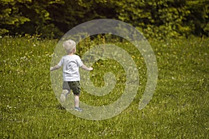 Little blond boy runs in a green meadow on the edge of the forest